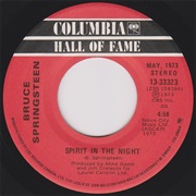 Bruce Springsteen - Spirits in the Night