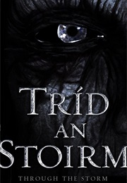 Through the Storm (2012)