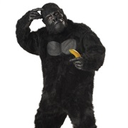 Gorilla