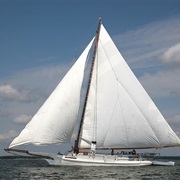 Chesapeke Bay Skipjacks