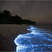 Bio Bay, Puerto Rico