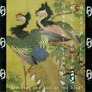Allen, Daevid: Stroking the Tail of the Bird…