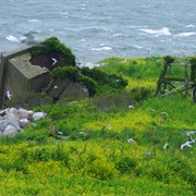 Great Gull Island, New York