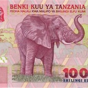 Tanzania Shilling
