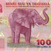 Tanzania Shilling