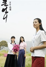 TV Novel : Big Sister (2008)