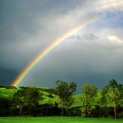 The Smell in the Air After Rain