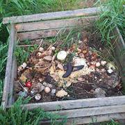 Compost Your Food  and Yard Waste