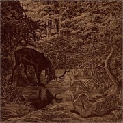 Of Stone, Wind and Pillor