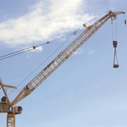 Crane
