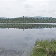 Wenlock Wildlife Management Area, Vermont