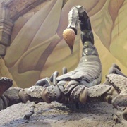 Giant Scorpion