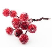 Frosted Berries