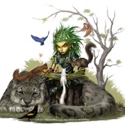 Druid Gnome