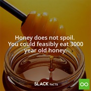 Honey Is the Only Natural Food That Does Not Spoil