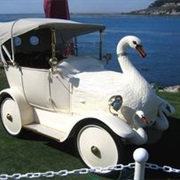 Swanmobile
