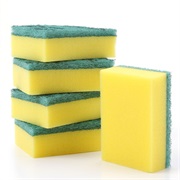 Sponges