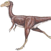 Compsognathus