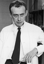 James Watson (James Watson)