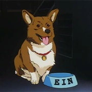 Ein