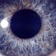 Dan Swanö - Moontower