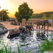 Zoo Prague, Czech Republic