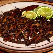 Chapulines (Toasted Grasshoppers)