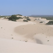Mescalero Sands, New Mexico