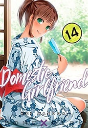 Domestic Girlfriend Vol. 14 (Kei Sasuga)