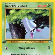 Brock's Zubat