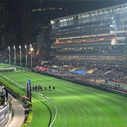 Happy Valley Races, Hong Kong