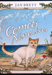 Comet's Nine Lives