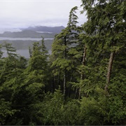 Tongass National Forest