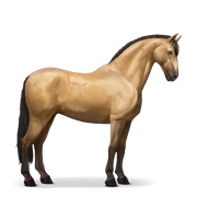 Purebred Spanish Horse - Dun