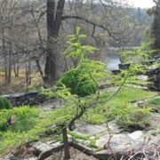 Innisfree Garden, Millbrook, New York