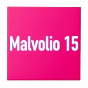 Malvolio 15 Productions