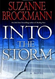 Into the Storm (Suzanne Brockmann)
