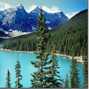 Boreal Forest (Taiga)