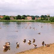 Hornsea Mere
