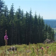 Monroe North, Washington