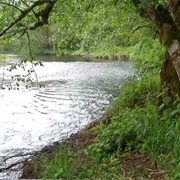Bonnie Lure State Recreation Area, Oregon