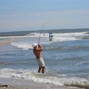 Surf Fishing