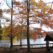 Chickasaw State Park, Alabama