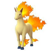 Rapidash
