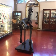 Museu De Geociências