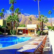 Vacation in the Desert