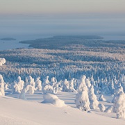 Riisitunturi National Park, Finland