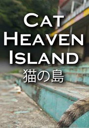 Cat Heaven Island (2015)