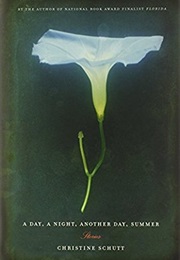 A Day, a Night, Another Day, Summer (Christine Schutt)