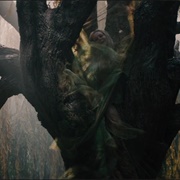 Cinderella at the Grave